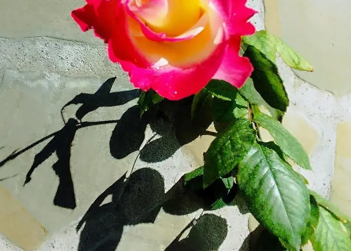 Casa de Férias Rose House Nydri (Lefkada)