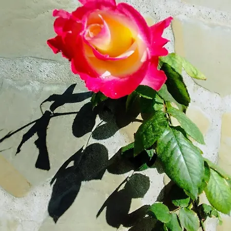 Ferienhaus Rose House Nydri (Lefkada)